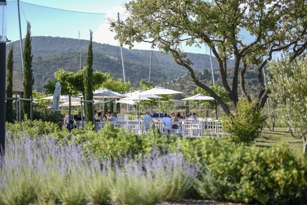 Clos Des Oliviers Grimaud - Meuble De Tourisme Екстериор снимка